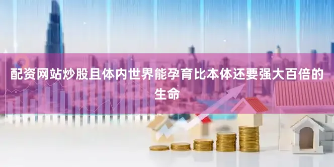 配资网站炒股且体内世界能孕育比本体还要强大百倍的生命