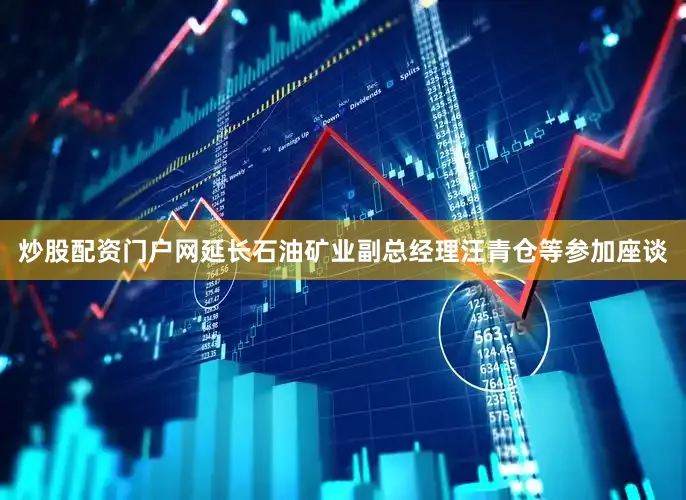炒股配资门户网延长石油矿业副总经理汪青仓等参加座谈